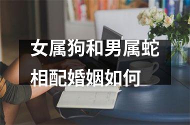 女属狗和男属蛇相配婚姻如何