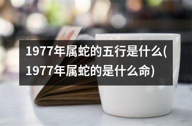 1977年属蛇的五行是什么(1977年属蛇的是什么命)