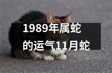 1989年属蛇的运气11月蛇