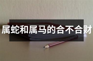 属蛇和属马的合不合财