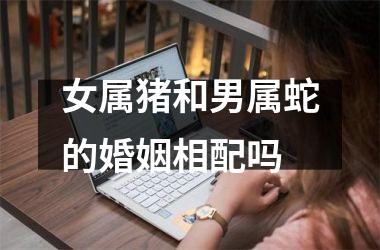 女属猪和男属蛇的婚姻相配吗