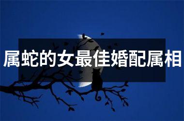 属蛇的女最佳婚配属相