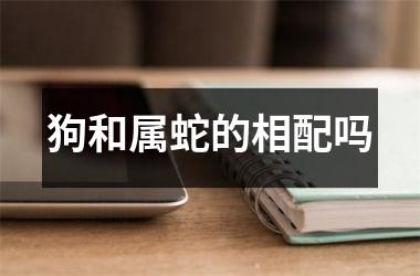 狗和属蛇的相配吗