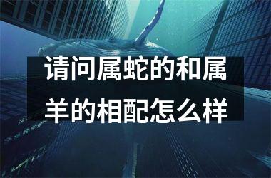 请问属蛇的和属羊的相配怎么样