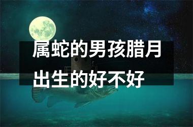 属蛇的男孩腊月出生的好不好