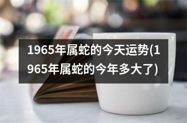 <h3>1965年属蛇的今天运势(1965年属蛇的今年多大了)
