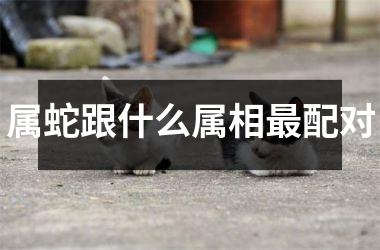 属蛇跟什么属相最配对