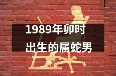 <h3>1989年卯时出生的属蛇男