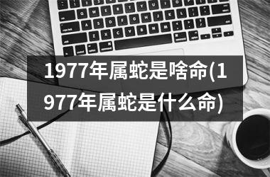 1977年属蛇是啥命(1977年属蛇是什么命)