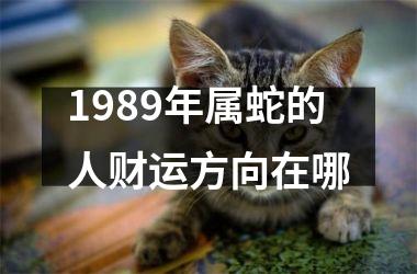 <h3>1989年属蛇的人财运方向在哪