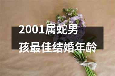 2001属蛇男孩最佳结婚年龄