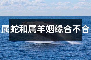 属蛇和属羊姻缘合不合