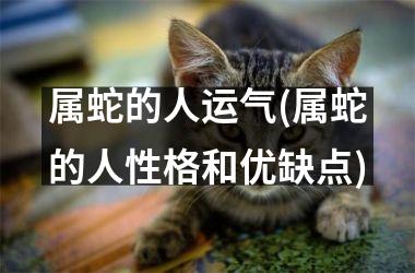 <h3>属蛇的人运气(属蛇的人性格和优缺点)