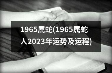 1965属蛇(1965属蛇人2025年运势及运程)