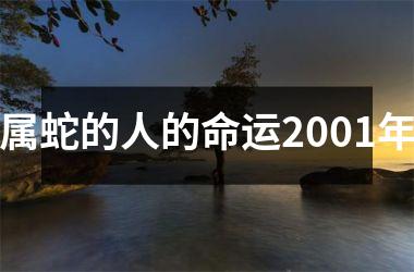 <h3>属蛇的人的命运2001年