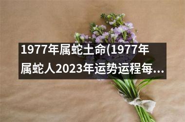 <h3>1977年属蛇土命(1977年属蛇人2025年运势运程每月运程)