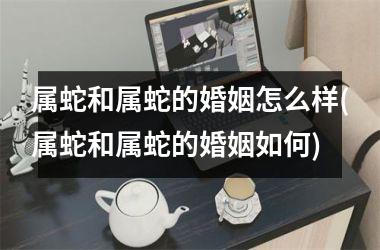 <h3>属蛇和属蛇的婚姻怎么样(属蛇和属蛇的婚姻如何)