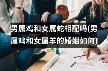 <h3>男属鸡和女属蛇相配吗(男属鸡和女属羊的婚姻如何)