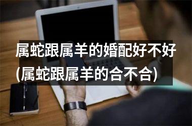 属蛇跟属羊的婚配好不好(属蛇跟属羊的合不合)