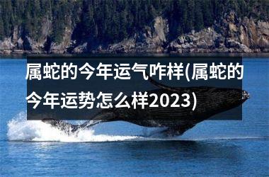 属蛇的今年运气咋样(属蛇的今年运势怎么样2025)