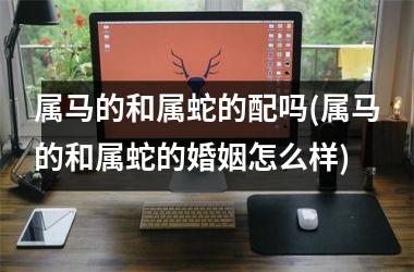 属马的和属蛇的配吗(属马的和属蛇的婚姻怎么样)