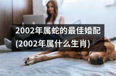 2002年属蛇的最佳婚配(2002年属什么生肖)