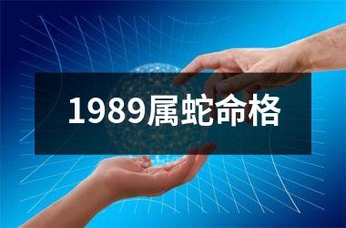 1989属蛇命格