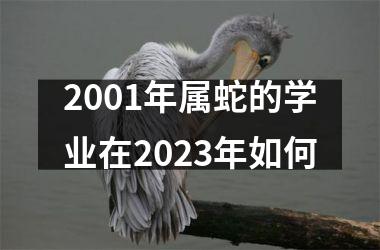 <h3>2001年属蛇的学业在2025年如何