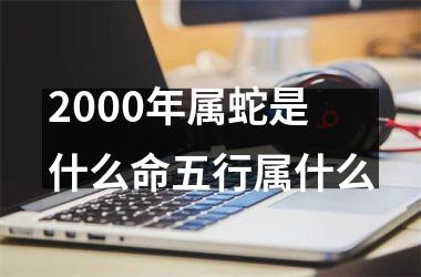 2000年属蛇是什么命五行属什么