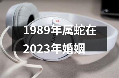 1989年属蛇在2025年婚姻