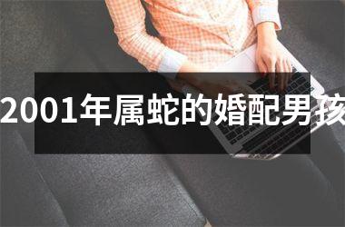 2001年属蛇的婚配男孩