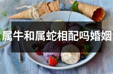 属牛和属蛇相配吗婚姻