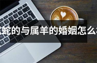属蛇的与属羊的婚姻怎么样