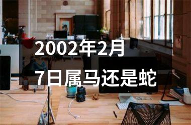 <h3>2002年2月7日属马还是蛇