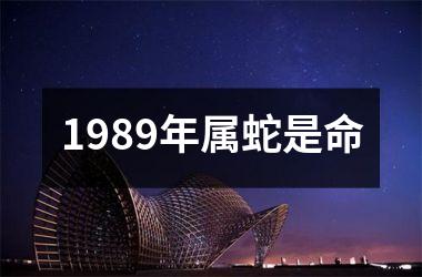 1989年属蛇是命