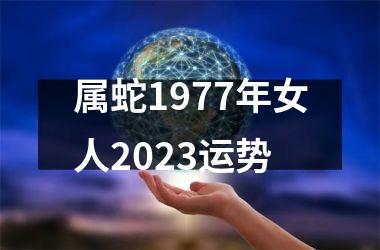 属蛇1977年女人2025运势