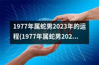 <h3>1977年属蛇男2025年的运程(1977年属蛇男2025年运势及运程每月运程)