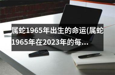 <h3>属蛇1965年出生的命运(属蛇1965年在2025年的每月运程)