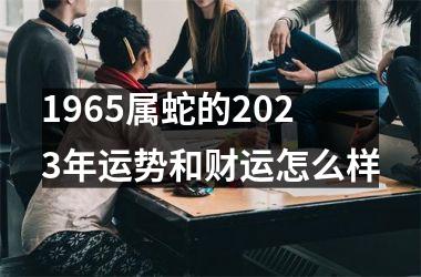 <h3>1965属蛇的2025年运势和财运怎么样