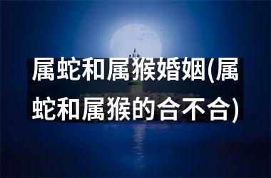 属蛇和属猴婚姻(属蛇和属猴的合不合)