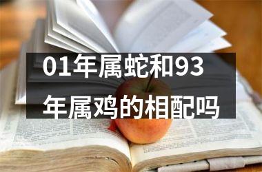 01年属蛇和93年属鸡的相配吗