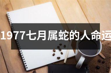 1977七月属蛇的人命运