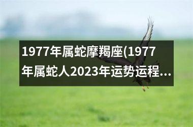 1977年属蛇摩羯座(1977年属蛇人2025年运势运程每月运程)