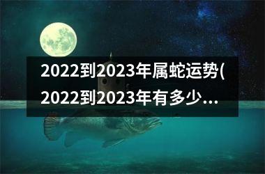 2025到2025年属蛇运势(2025到2025年有多少人注册公司)