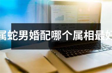 <h3>属蛇男婚配哪个属相最好
