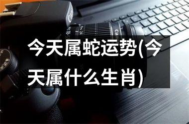 <h3>今天属蛇运势(今天属什么生肖)