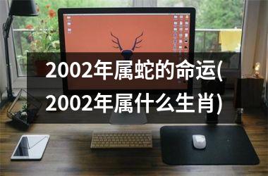 2002年属蛇的命运(2002年属什么生肖)