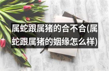 <h3>属蛇跟属猪的合不合(属蛇跟属猪的姻缘怎么样)