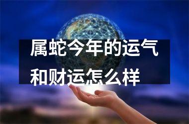 属蛇今年的运气和财运怎么样