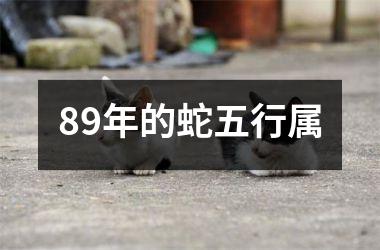 <h3>89年的蛇五行属